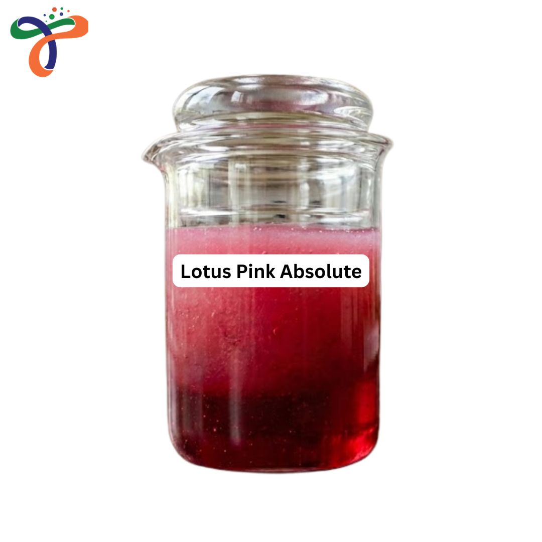 Lotus Pink Absolute